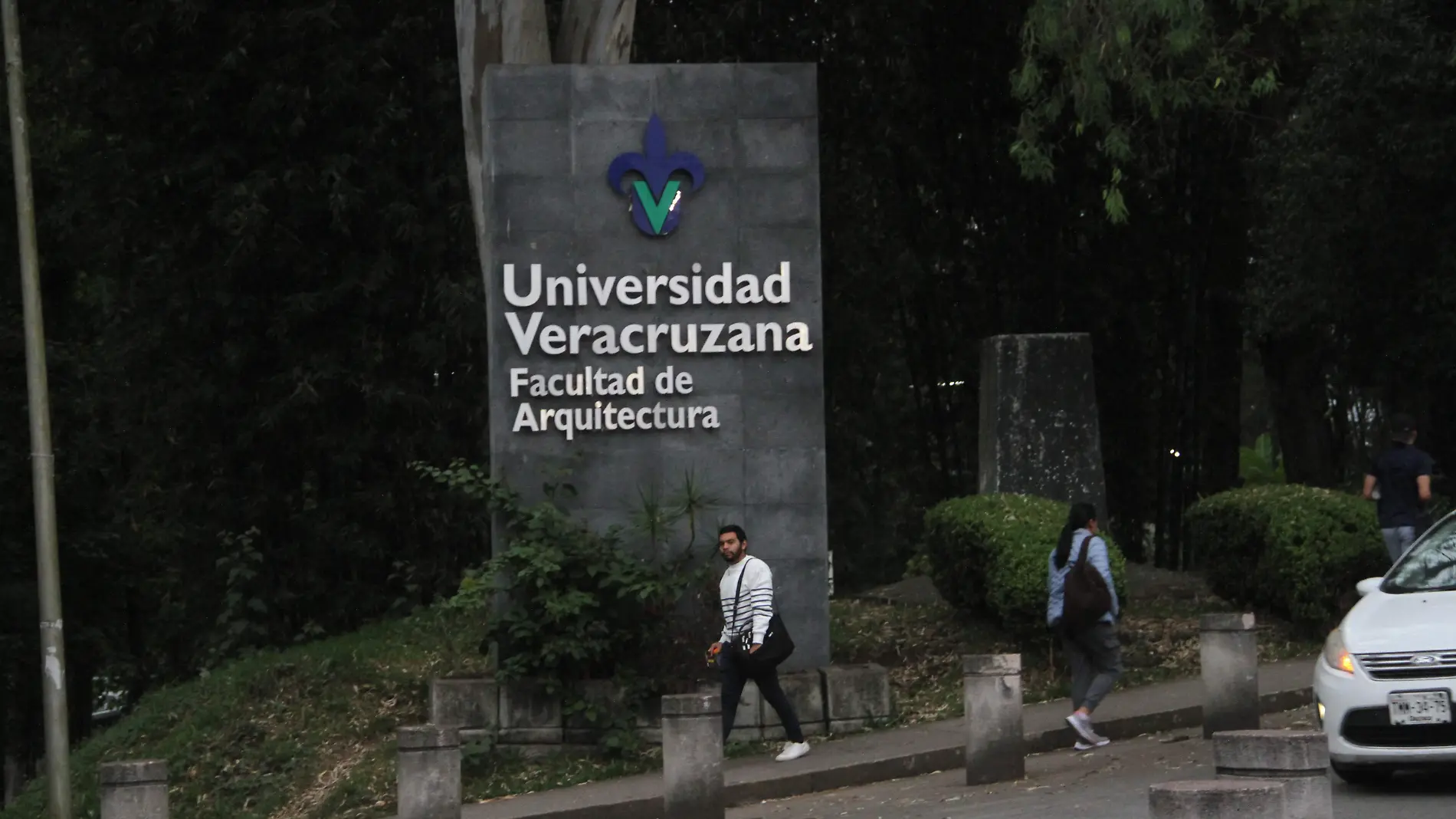 JE100820248222Ilustracion-Universidad Veracruzana